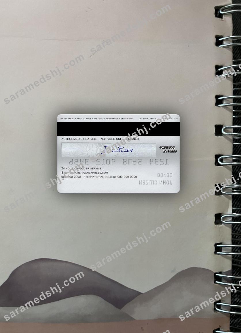 USA NAB bank AMEX platinum card photolook back
